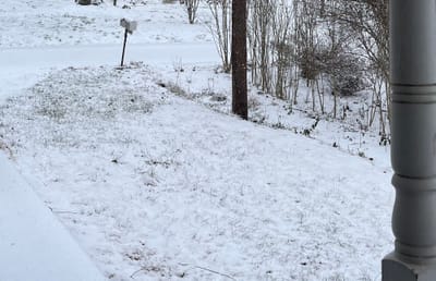 I missed the February 3, 2026 County Council Meeting